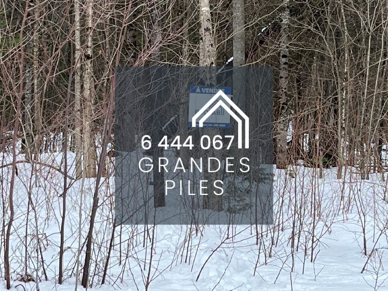 Photo du paysage à Grandes-Piles. Un terrain numéro 6444067 vacant à vendre.