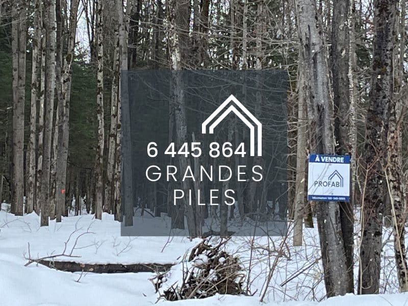 Photo du paysage à Grandes-Piles. Un terrain numéro 6445864 vacant à vendre.