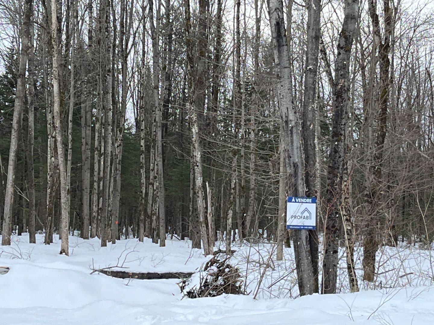 Landscape photo in Grandes-Piles. Vacant lot number 6445864 for sale.